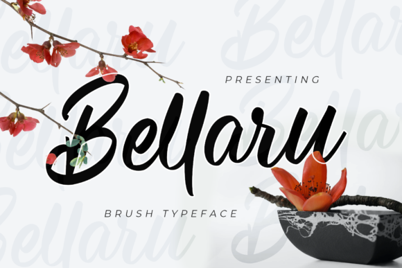Bellaru Script Amp: A Designer’s Honest Review