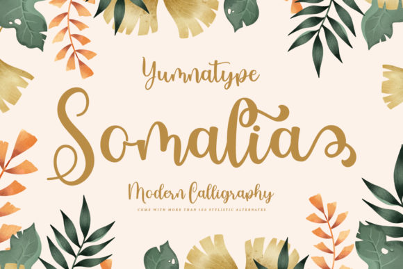 Somalia Typeface Review: Elevating Social Campaigns with Elegant Handwritten Style